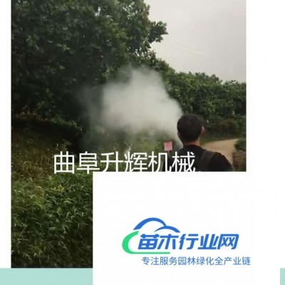 園林機械 手提煙霧機脈沖打藥噴霧器  果園蔬菜煙霧水霧兩用機