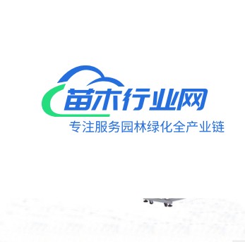 塑料吹瓶機 2L全自動1出4吹塑機 飲料瓶農藥瓶化妝品瓶吹瓶機供應