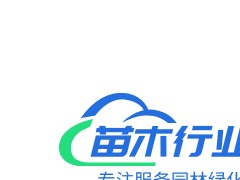 山東1公分國槐價(jià)格