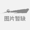 供應(yīng)毛白楊、速生楊、國(guó)槐、法桐、白蠟、速生柳、垂柳等苗木