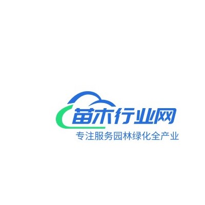 日本紅楓小苗價格-菏澤五角楓苗銷售商-1年生五角楓小苗批發(fā)