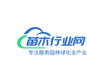 國槐樹白蠟樹苗毛白楊樹苗