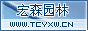 銀杏實(shí)生嫁接樹(shù)、銀杏葉、果