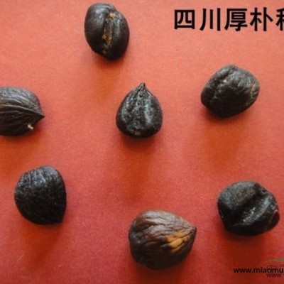 紫玉蘭1行情報(bào)價(jià)\紫玉蘭1圖片展示