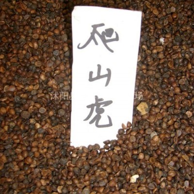 低價(jià)供應(yīng)木瓜海棠貼梗海棠 四季海棠 梨花海棠秋海棠各種小苗