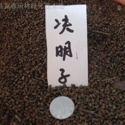 馬尼拉草坪草皮 耐踐踏園林綠化地被草坪草皮 運(yùn)動(dòng)場(chǎng)所草坪草皮耐踐踏 樓頂陽(yáng)臺(tái)草坪草皮