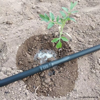 新昌縣噴灑無死角微噴頭越做越大