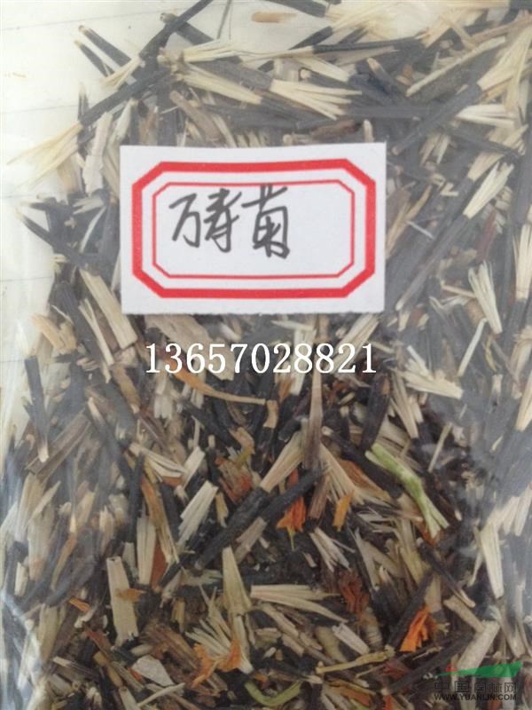 萬(wàn)壽菊 萬(wàn)壽菊種子